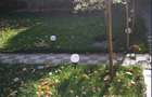 Apartament cu 2 camere decomandat în Ultracentral - 8