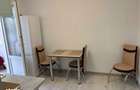 Ofer spre inchiriere doua apartamente in Radauti - 7