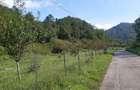 Teren intravilan Sat Voia Com. Balsa 7000mp - 1