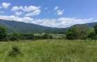 Teren de Vanzare - Intravilan - 2750mp - 1