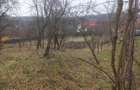 Teren de 1500 mp, în Goranu - 6