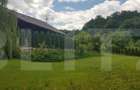 Casă cu 5 camere cu Teren 3000 Mp în Făget - 20 Casă cu 5 camere cu Teren 3000 Mp în Făget - 20