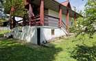 Teren și casă de vacanță Solca, jud. Suceava - 5