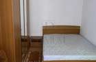 Apartament cu 2 camere semidecomandat în Timișoara - 5