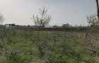 Vanzare inchiriere teren Mihailesti Giurgiu - 3