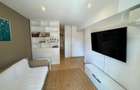 Apartament cu 2 camere semidecomandat în Banu Manta - 8