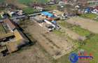 ID 6675 EXCLUSIVITATE - Teren cu casa in Sat Lunca- DELTA DUNARII - 2