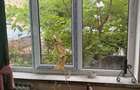 Apartament 2 camere, 29 mp, zona Piata, Valea Rosie - 2