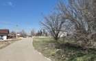 Trestieni - Ulmi, vanzare teren 1.663mp, intravilan - 14