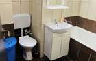 Apartament cu o camera in zona Dambovita - 3