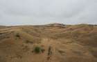 Teren pasune Sat stejeris DE 81 54 hectare 540000 mp - 7