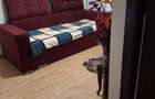 Apartament cu 2 camere în Plantelor - 5