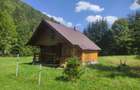 Teren intravilan 9.172 m2 + cabana 30m2 Loc Pintic Paltinu Com. Grinties - 6