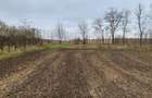 Teren Dorohoi - 23000 mp - Sau - Parcele 1000mp, 900mp, 1500mp, etc. - 8