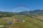 Teren Tohanu Nou, intrare Sohodol, 4800mp - 17