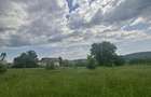 vant urgent teren 5000mp in localitatea hales - 3