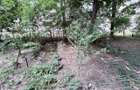 Apartament cu o camera parter Blascovici - 5