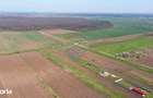 Vanzare teren intravilan 500 mp Sabareni / Strada Orhideelor - 2