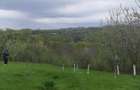 Teren de Vanzare Intravilan - 4