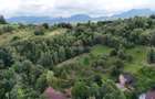 Comision 0% |Teren intravilan 2.700 mp | Sohodol – Bran |Castelul Bran