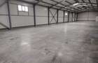 Hala 600 mp (H: 6.5m) cu platforma betonata 2000 mp, langa A3 - 9