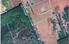 Vanzare teren constructie casa CIOFLICENI - SNAGOV - 1