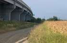 Vanzare Teren  intravilan  mixt  Moara Vlasiei Autostrada A3 - 2