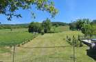Casa vanzare la Zece Hotare cadru montan pitoresc 3.900 mp intravilan