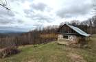 TEREN 34.000 MP | SERANI BIHOR - 7