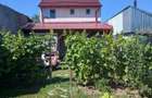 Vand casa P+m Pisc-Brailita - 3