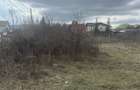 BANESTI - teren intravilan 1102mp - 50 Euro/mp - 2