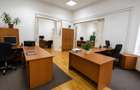 Proprietate cu Farmec Istoric | Potential Rezidential si Investitional - 9