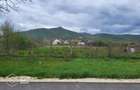 Teren intravilan, comuna Siria - 4