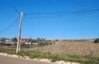 De vanzare teren intravilan cu acces direct la ?osea asfaltata Portari, comuna Zapodeni (Vaslui) - 4