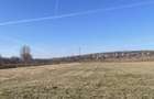Teren intravilan 2150mp Tureni