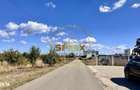 Corbeanca 5000 mp | deschidere 22 m la drum asfaltat | padure | utilit - 11