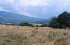 Teren de vanzare la munte Nucsoara Arges - 1