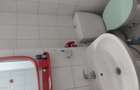 Inchiriere apt 2 D vis-a-vis de Palas - 1