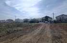vind teren Rate,Mangalia str Lucian Blaga - 4