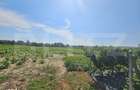 Teren extravilan 14.000 mp, Drambar Ciugud | solarii, fotovoltaice