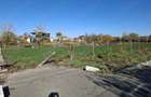 Vand casa in localitatea CIACOVA jud Timis - 3