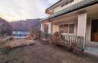 Casa si teren generos, zona Dragos Voda, Piatra Neamt - 13