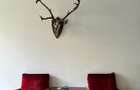 Apartament de inchiriat - 7