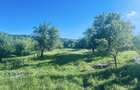 Teren intravilan /Ramnicu Valcea/ str. Poenari/ 2500 mp - 1