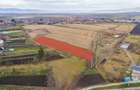 Teren extravilan Bod, 10.000 mp, acces DE 290, zona spre Harman - 13