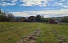 Teren intravilan de vanzare in Drage?ti Jude?ul Bihor - 3