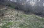 Teren de 2800 mp, în Văleni-Dâmbovița - 4