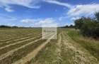 Teren de 11.000 mp cu casa si teren agricol | La 40 km de Bucuresti | - 10
