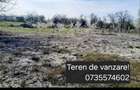 Teren intravilan 1020mp becicherecu mic - 5