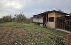 Casa de vanzare + livada pruni
